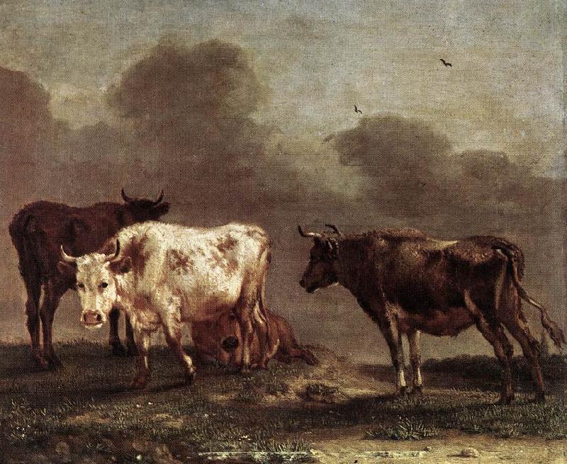 POTTER, Paulus Cows in a Meadow af France oil painting art